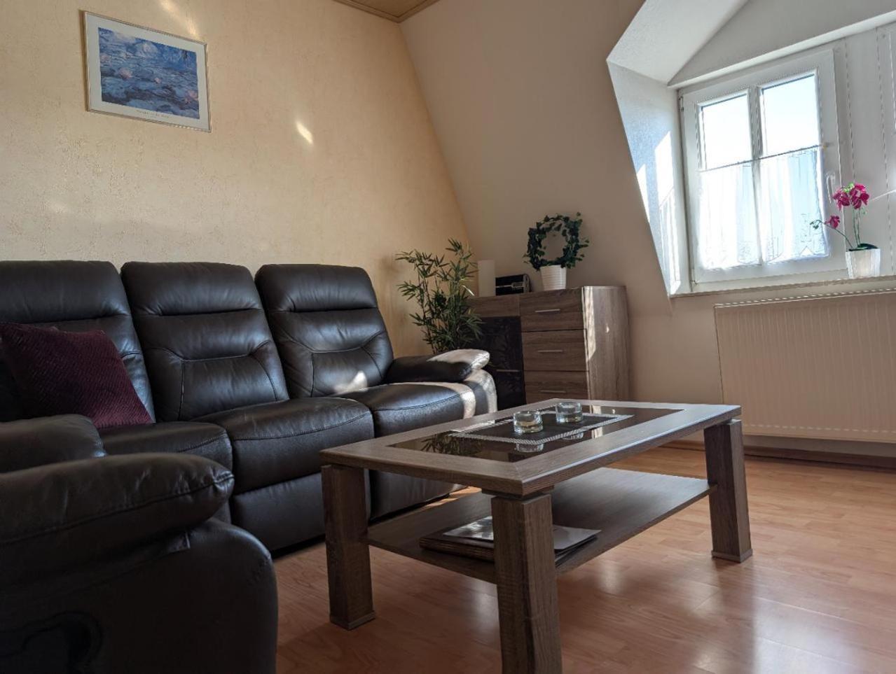 Ambiente-An-Der-Elbe-Wohnung-Og Dresden Eksteriør bilde